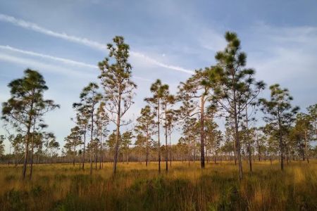 three lakes WMA campground