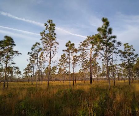 three lakes WMA campground