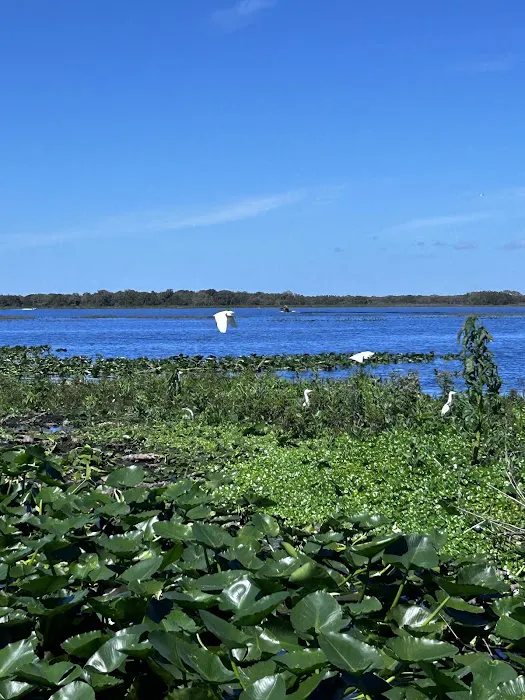 Grape Hammock Fish Camp & Airboat Rides 8