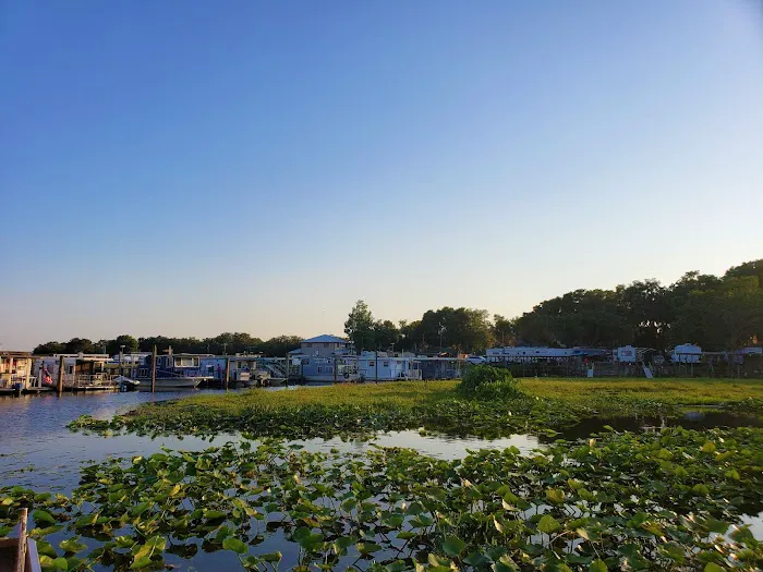 Grape Hammock Fish Camp & Airboat Rides 4