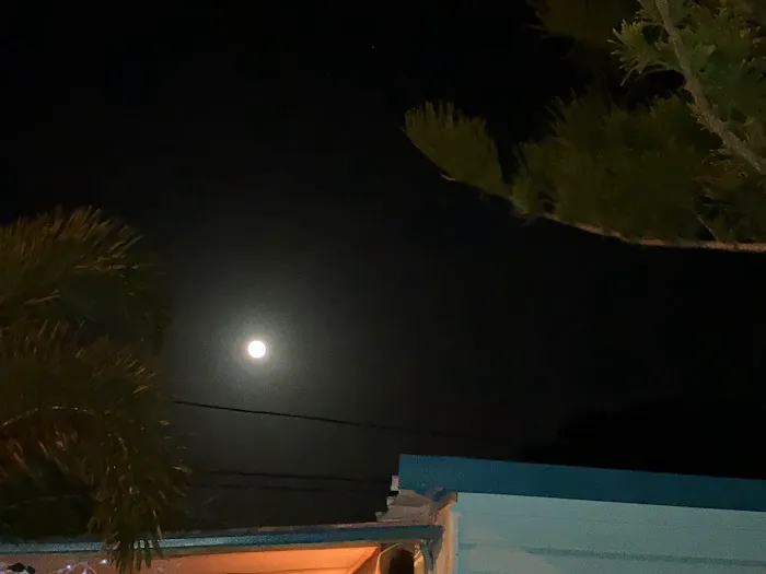 Palm Haven Manufactured Home Community 4