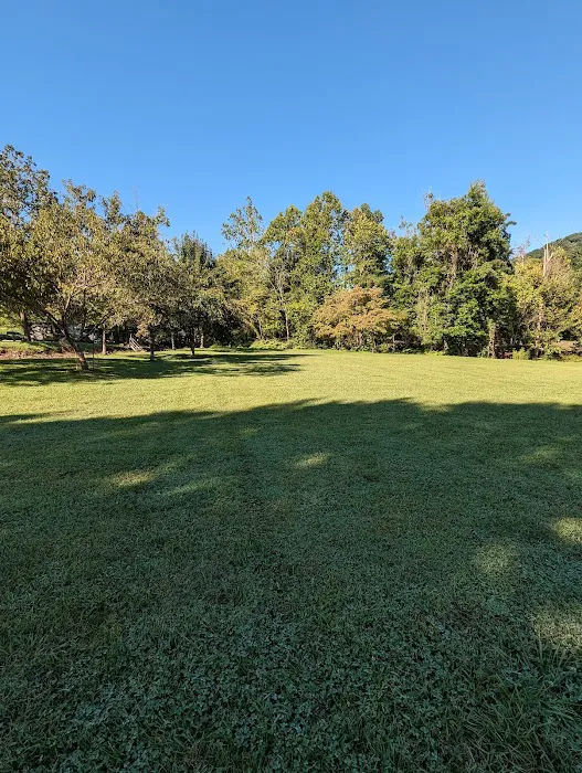 Double D Roost campground 2
