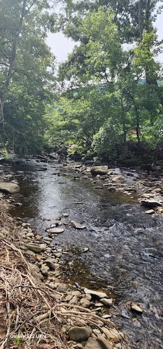 Double D Roost campground 8
