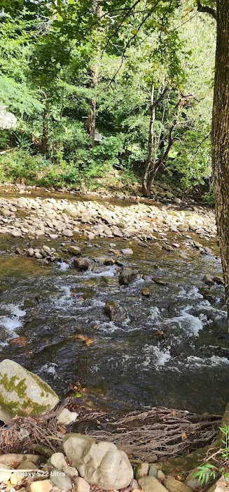 Double D Roost campground 10