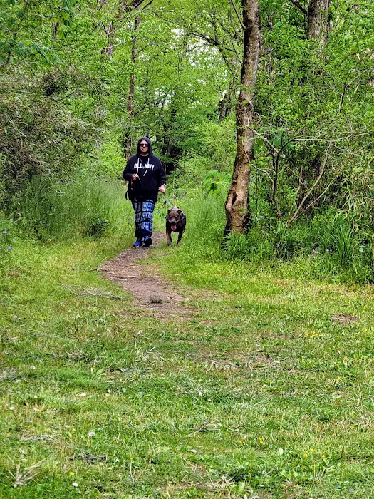 David Crockett Birthplace State Park Campground 6