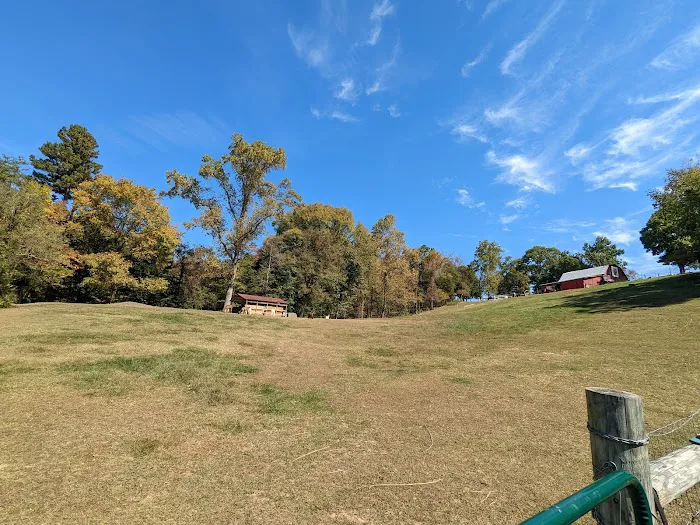 Lazy Llama Campground 4