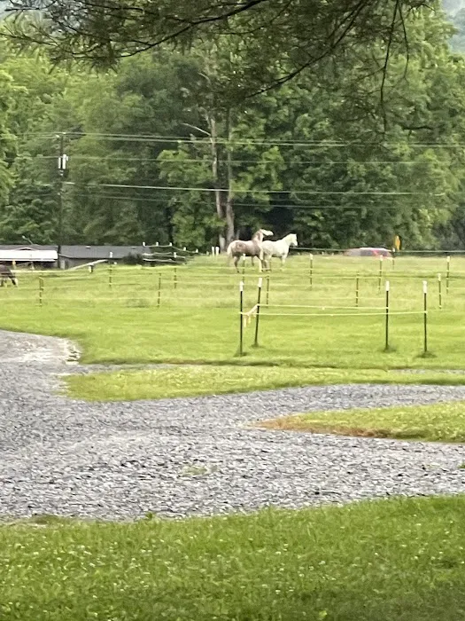 Grand View Ranch and RV Park 7