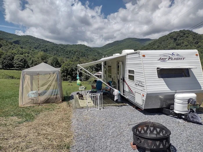Alexandria's Roan Mountain Camping 3