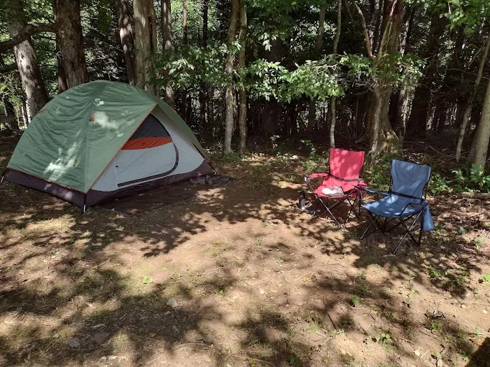 Alexandria's Roan Mountain Camping 9