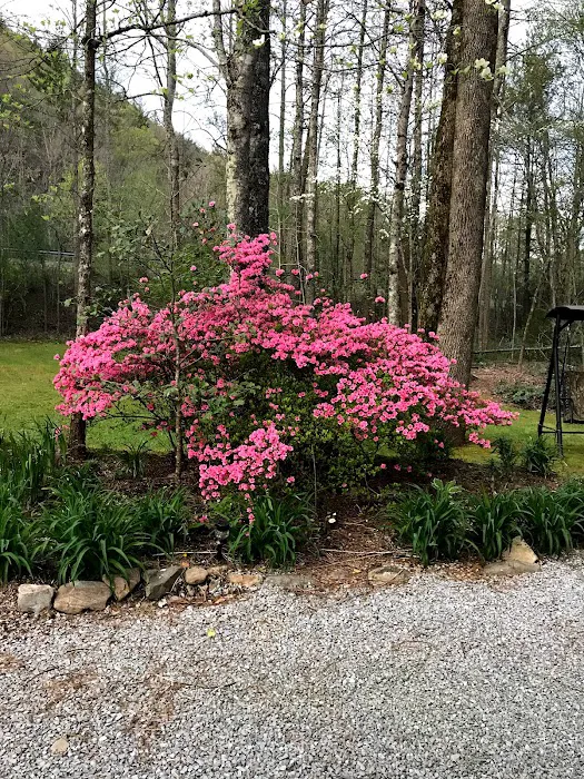 North Indian Creek Campground 4