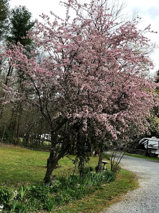 North Indian Creek Campground 8