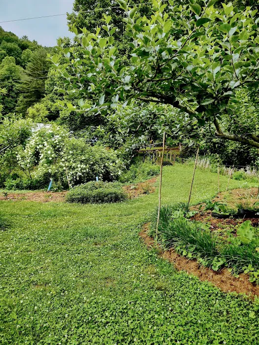 Blackberry Blossom Farm & Campground 7