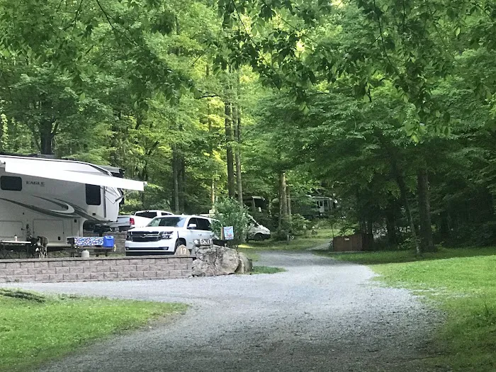 Woodsmoke Campground 1