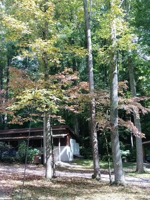 Woodsmoke Campground 5