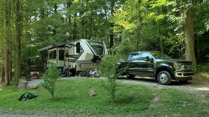 Woodsmoke Campground 4