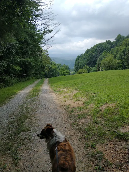 Woodsmoke Campground 7