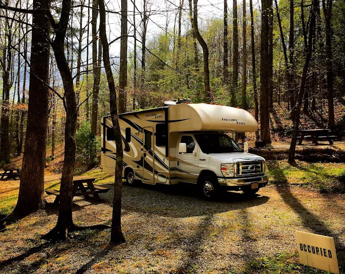 Woodsmoke Campground 10