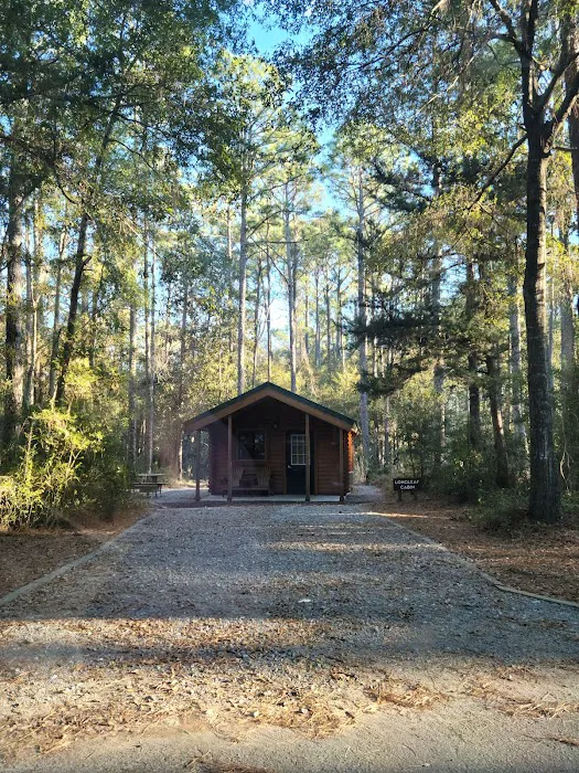 Carolina Beach State Park Campground 3
