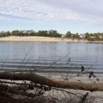 Carolina Beach State Park Campground