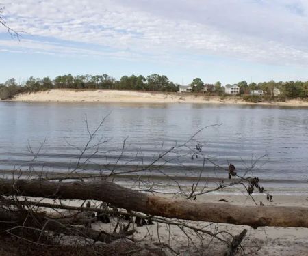 Carolina Beach State Park Campground