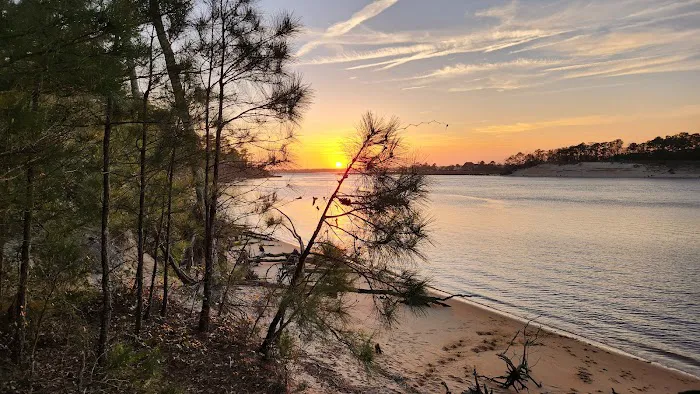 Carolina Beach State Park Campground 2