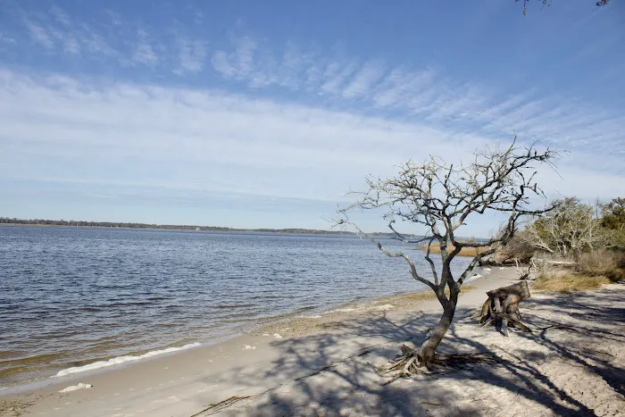 Carolina Beach State Park Campground 4