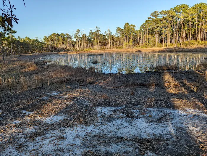 Carolina Beach State Park Campground 6