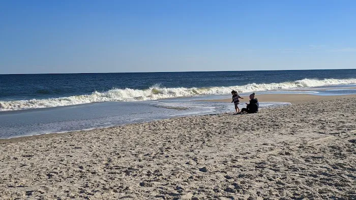 Carolina Beach State Park Campground 10