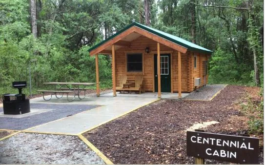 Carolina Beach State Park Campground 9
