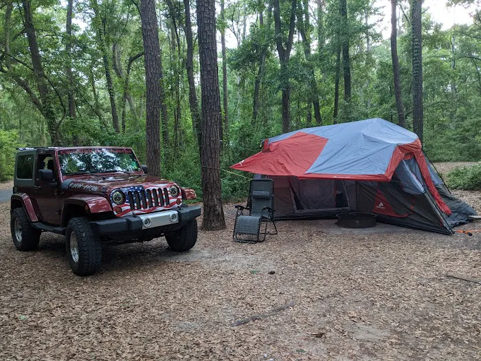 Carolina Beach State Park Campground 8