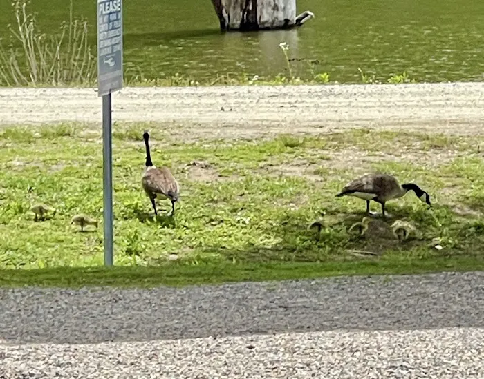 Bayview Family Campground and Marina 10