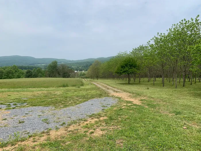 TriMountainView Campground 2