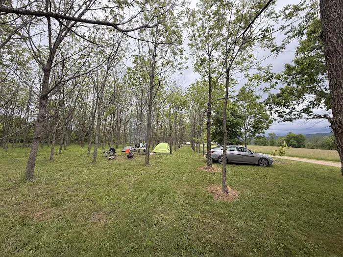 TriMountainView Campground 5