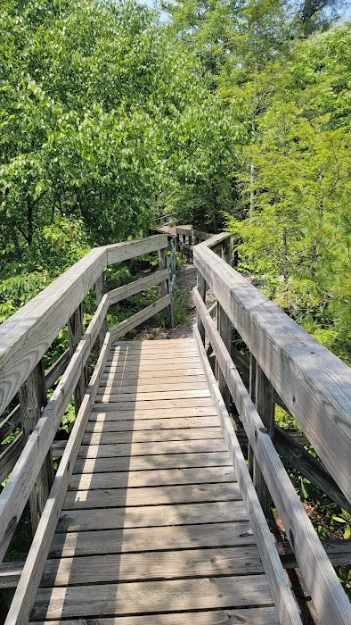 Backbone Rock Campground 1