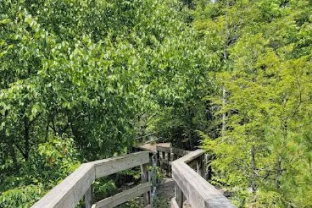 Backbone Rock Campground