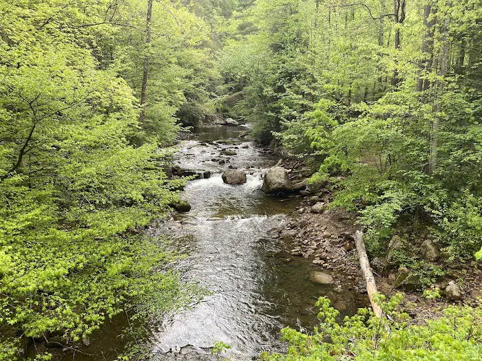 Backbone Rock Campground 3