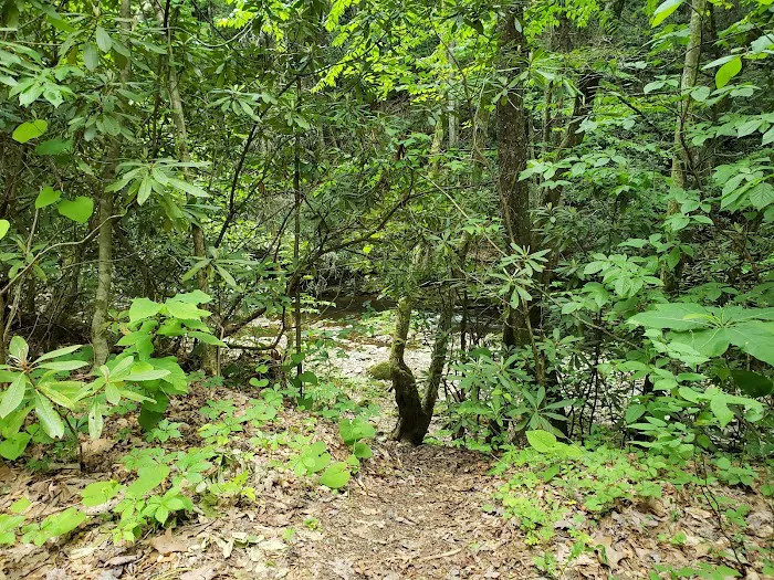 Backbone Rock Campground 6