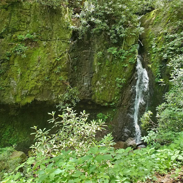 Backbone Rock Campground 8