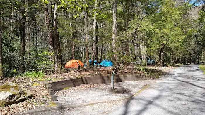 Backbone Rock Campground 4