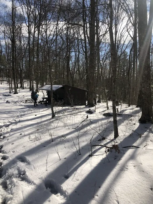 Abingdon Gap Shelter, Appalachian Trail 8