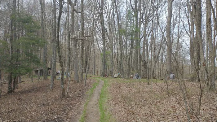 Abingdon Gap Shelter, Appalachian Trail 6