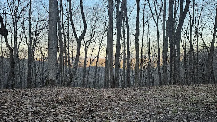 Abingdon Gap Shelter, Appalachian Trail 4