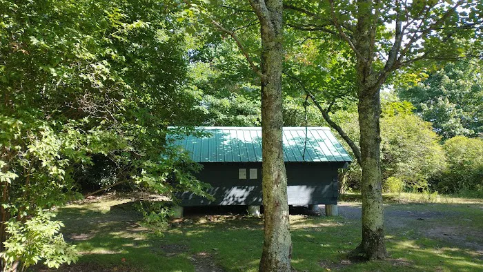 Wise Shelter 1