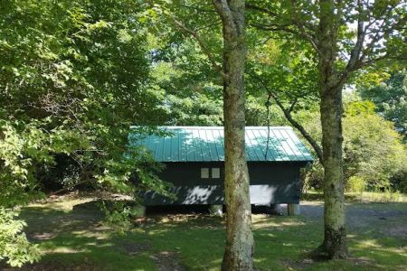 Wise Shelter