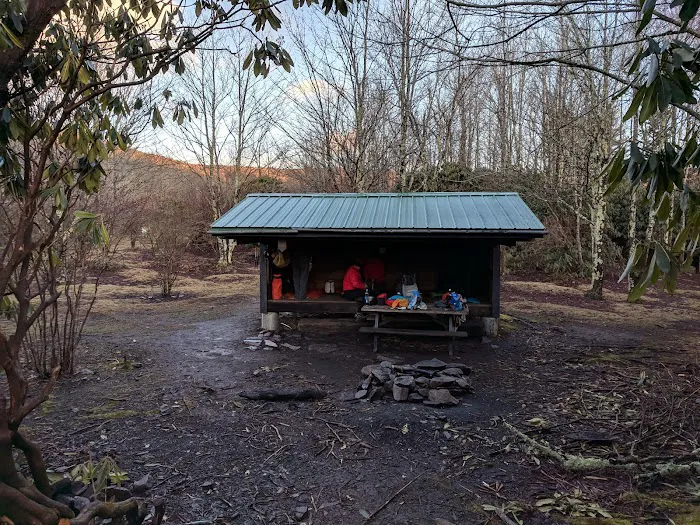 Wise Shelter 2