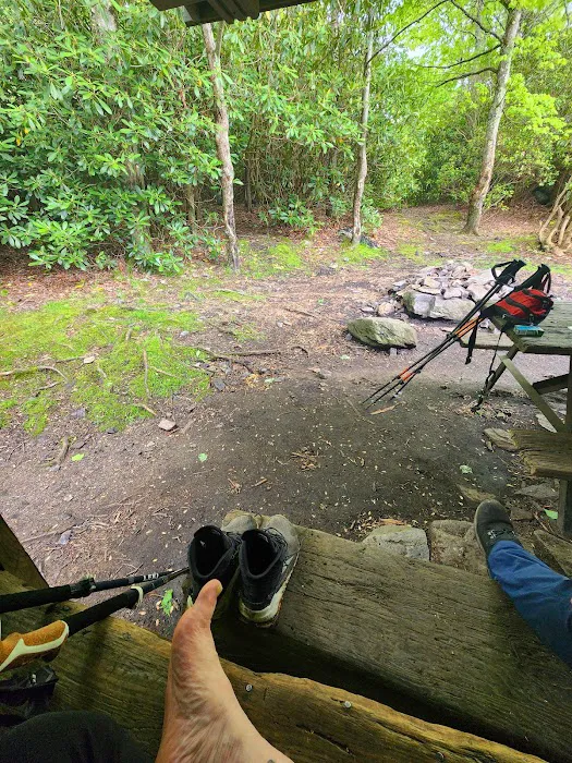 Wise Shelter 3