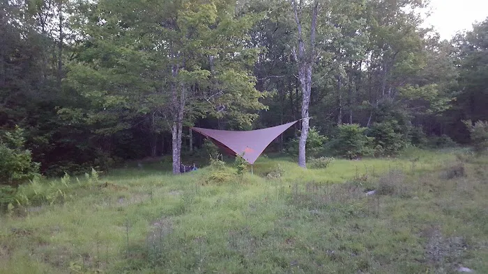 Wise Shelter 9