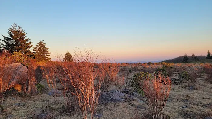 Scales Campground 5