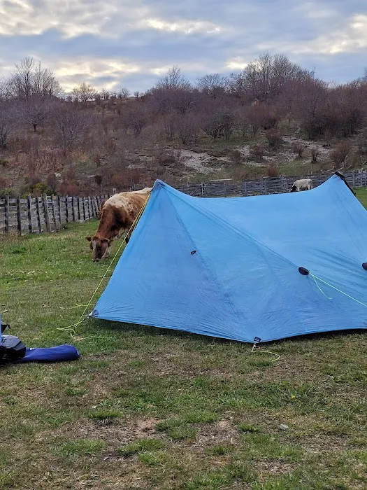 Scales Campground 2