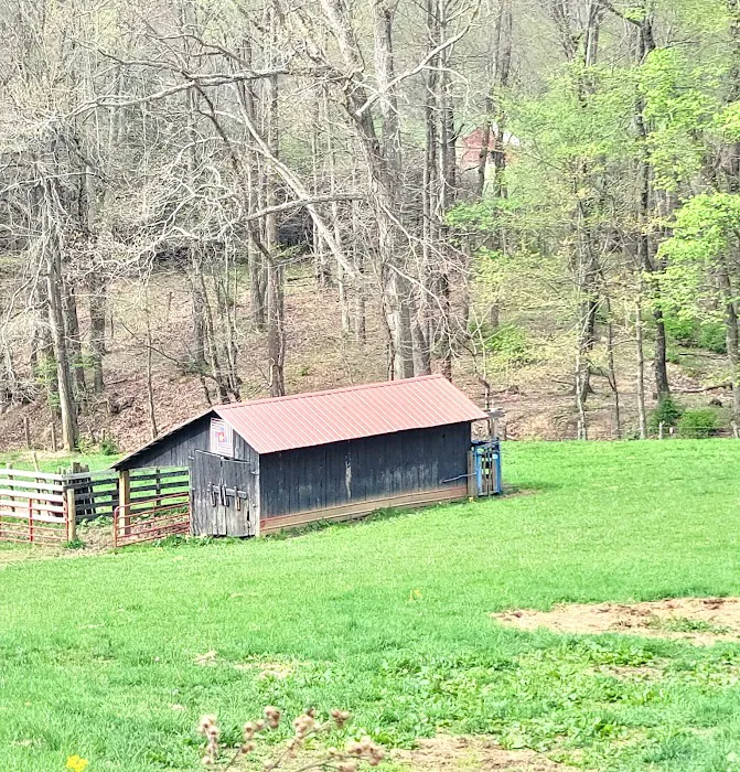 Big Ridge Campground 2